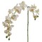 White Dancing Orchid Stem - 12-Pack, Silk Flowers, Lifelike Blooms, Ideal for Floral Arrangements, Home & Event Décor - Perfect for All Seasons, Floral Home by Artificial Flowers